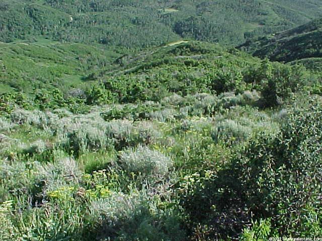 128 Skyline Rd W #128, Echo, UT 84024 — photo 2