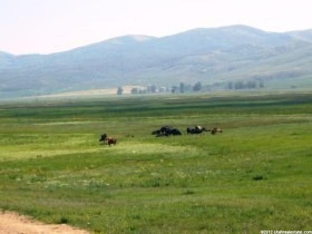 97 Acres Meadowville, Laketown, UT 84038 — photo 7