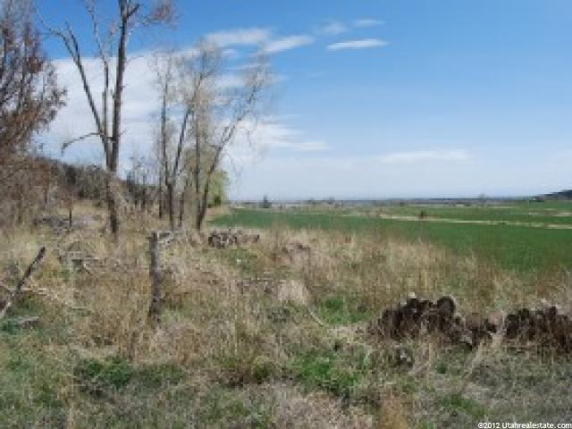 15564 N 2250 E, Whiterocks, UT 84085 — photo 9