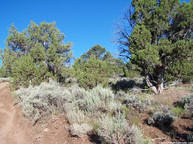 #E229, Fruitland, UT 84027 — photo 2