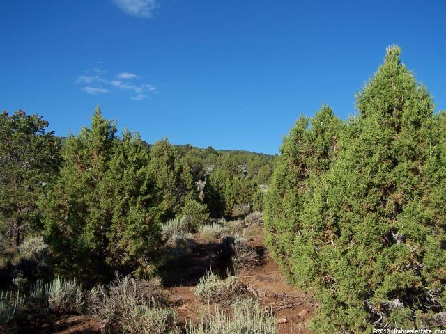 #E229, Fruitland, UT 84027 — photo 3