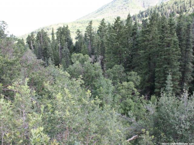 2355 Happiness Trl #46, Midway, UT 84049 — photo 3