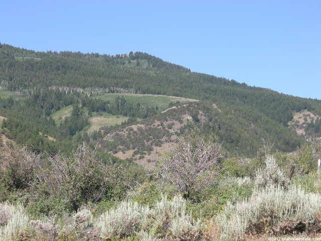 100 Mona Ct #7, Fish Haven, ID 83287 — photo 8