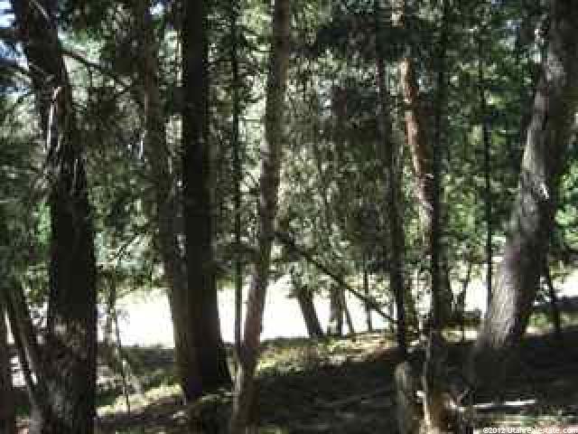 70 Acres #70, Mt Pleasant, UT 84647 — photo 8