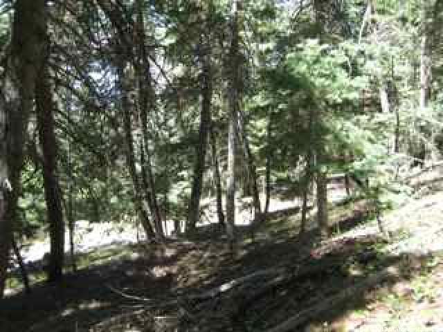 70 Acres #70, Mt Pleasant, UT 84647 — photo 9