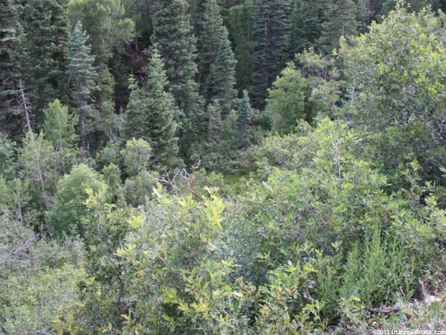 45 Happiness Trl #45, Midway, UT 84049 — photo 2