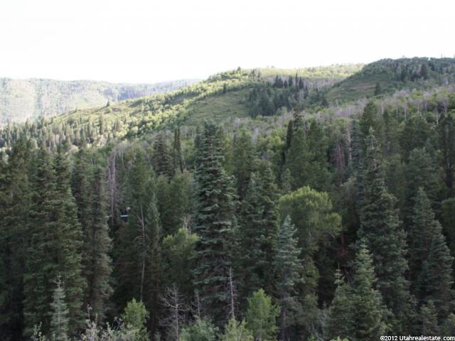 45 Happiness Trl #45, Midway, UT 84049 — photo 4