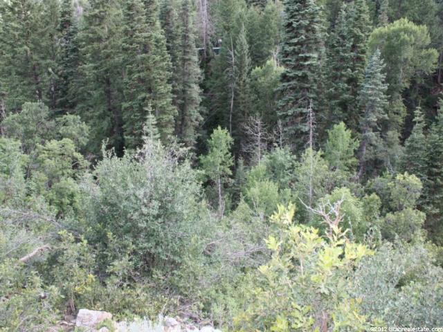 45 Happiness Trl #45, Midway, UT 84049 — photo 5