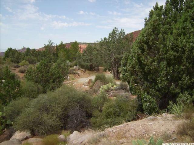 #7, Leeds, UT 84746 — photo 4
