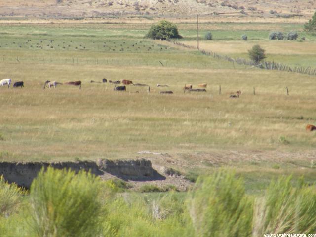 5000 E 16000 N, Moroni, UT 84646 — photo 3