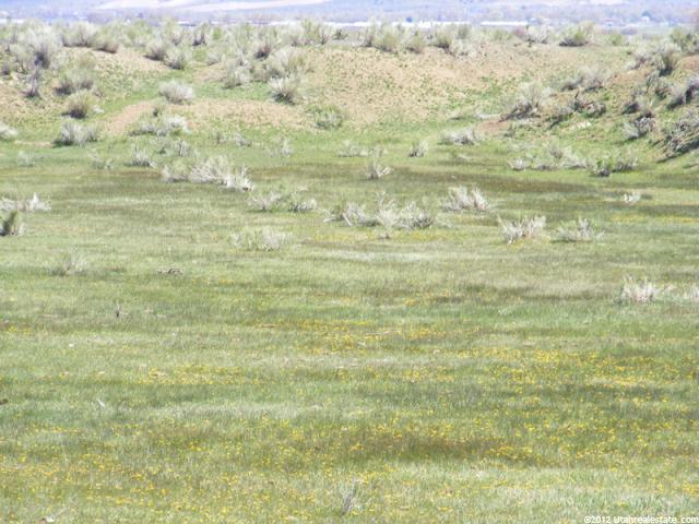 5000 E 16000 N, Moroni, UT 84646 — photo 9