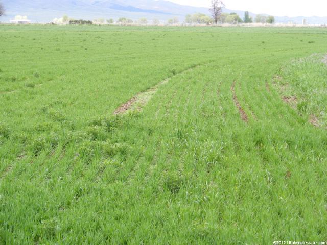 1150 W 500 S, Nephi, UT 84648 — photo 5