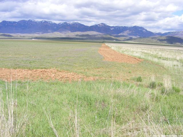Nephi, UT 84648 — photo 4