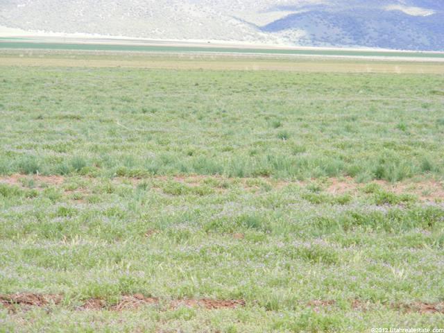 Nephi, UT 84648 — photo 2