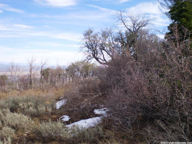 #106, Fruitland, UT 84027 — photo 5