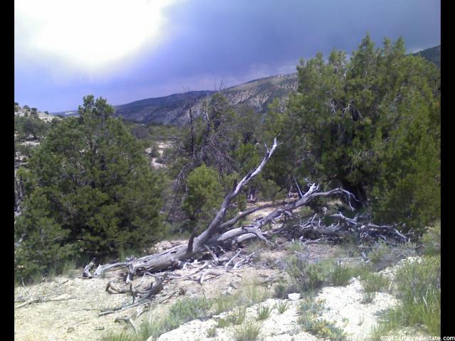 #106, Fruitland, UT 84027 — photo 7