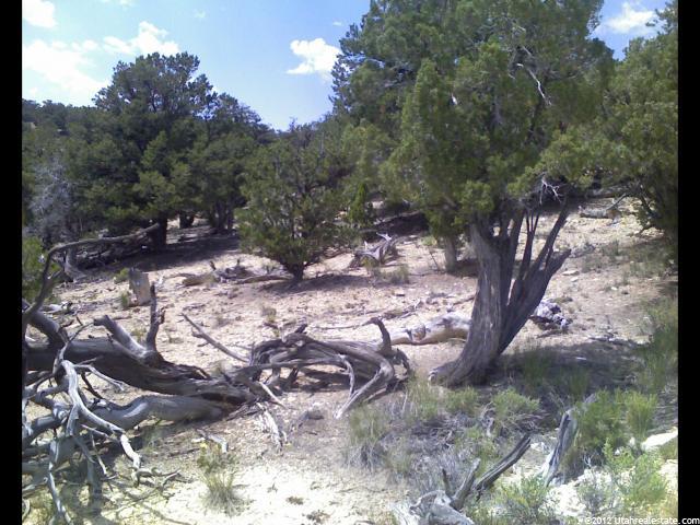 #106, Fruitland, UT 84027 — photo 8