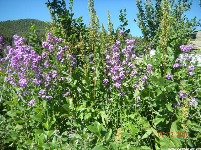 130 Aspen Cir #A-43, Summit Park, UT 84098 — photo 8