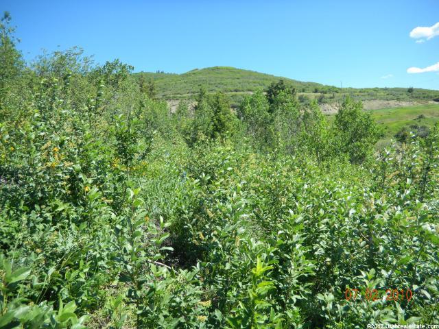 130 Aspen Cir #A-43, Summit Park, UT 84098 — photo 10
