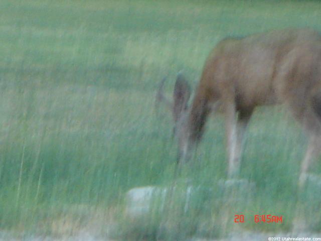 #16, Fruitland, UT 84027 — photo 3