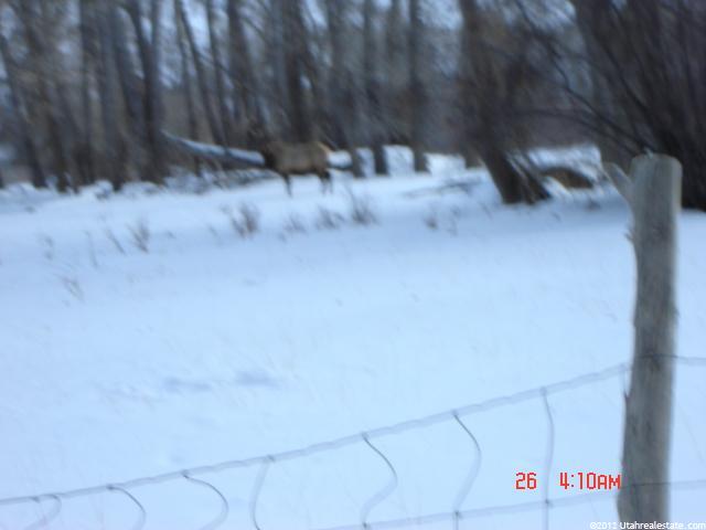 #16, Fruitland, UT 84027 — photo 4