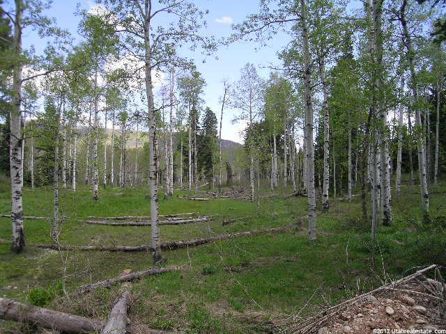 2051 Pine Meadow Dr S #138B, Wanship, UT 84017 — photo 3