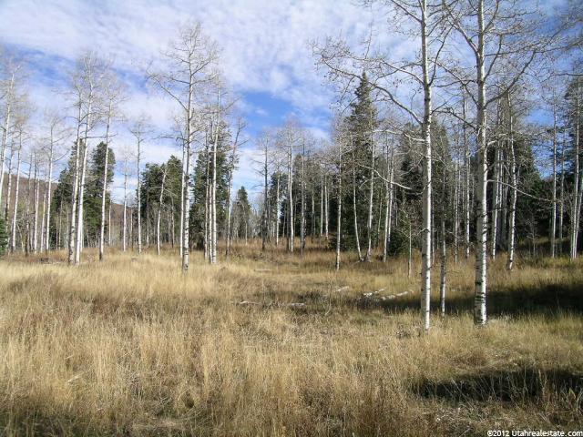 1050 Pine #D14, Wanship, UT 84017 — photo 5