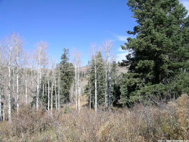 1050 Pine #D14, Wanship, UT 84017 — photo 6