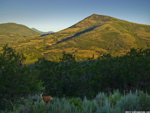 #38, Hideout, UT 84036 — photo 3