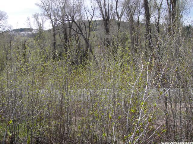 2870 E Weber Canyon Rd #194-, Oakley, UT 84055 — photo 2