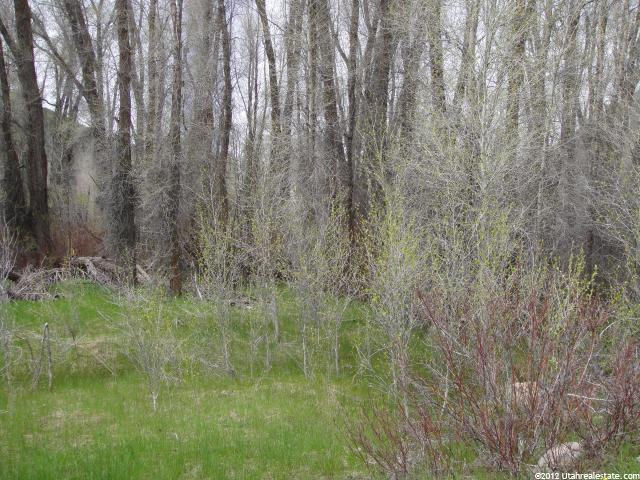 2870 E Weber Canyon Rd #194-, Oakley, UT 84055 — photo 4