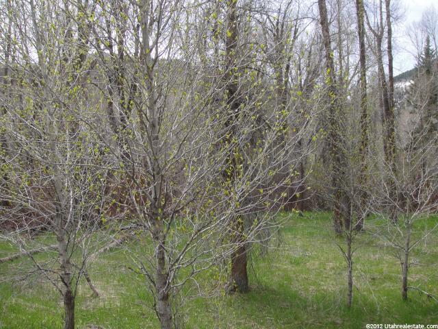 2870 E Weber Canyon Rd #194-, Oakley, UT 84055 — photo 5