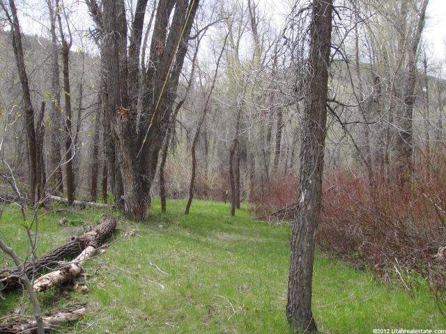 2870 E Weber Canyon Rd #194-, Oakley, UT 84055 — photo 6