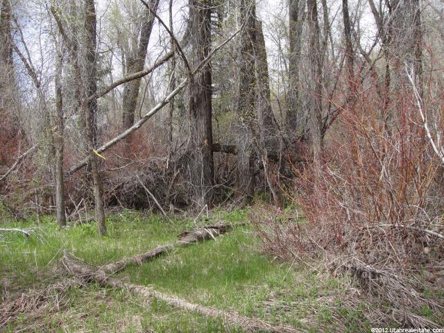 2870 E Weber Canyon Rd #194-, Oakley, UT 84055 — photo 7
