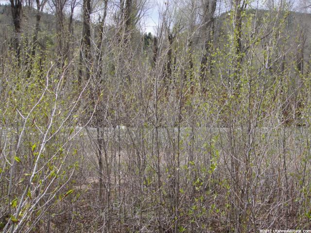 2870 E Weber Canyon Rd #194-, Oakley, UT 84055 — photo 9