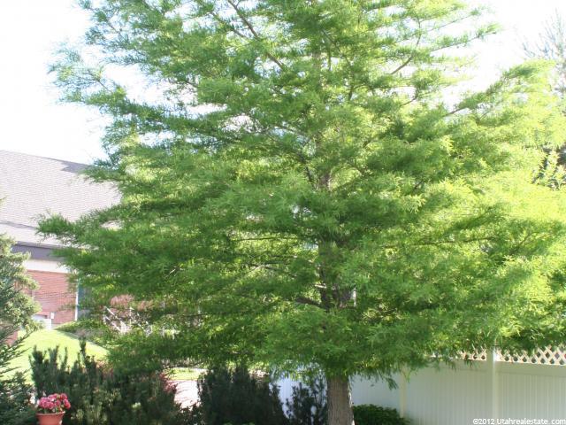5258 S Winchester Ln E, South Ogden, UT 84403 — photo 11