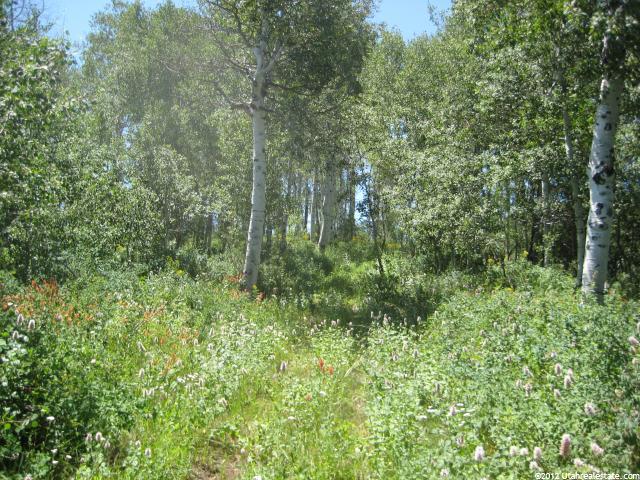1 Ant Flat Rd, Hyrum, UT 84319 — photo 11