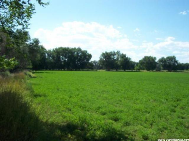 475 S 1400 E, Ballard, UT 84066 — photo 11