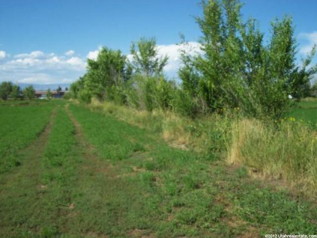 492 S 1500 E, Ballard, UT 84066 — photo 3