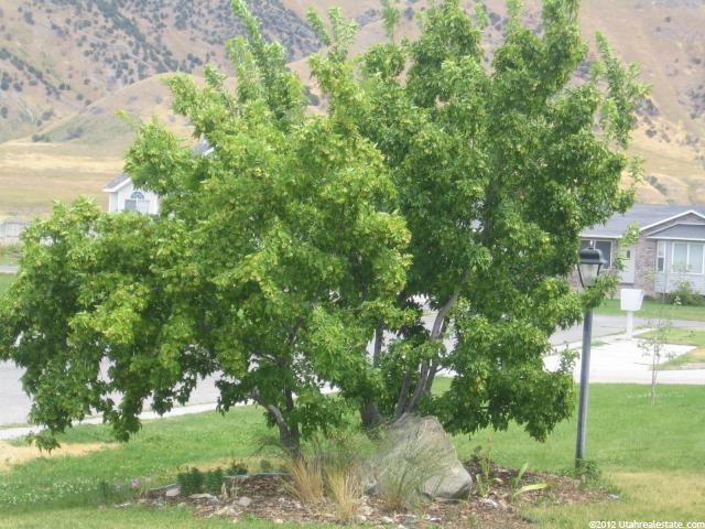 70 Manitoban Ln, Hyrum, UT 84319 — photo 2