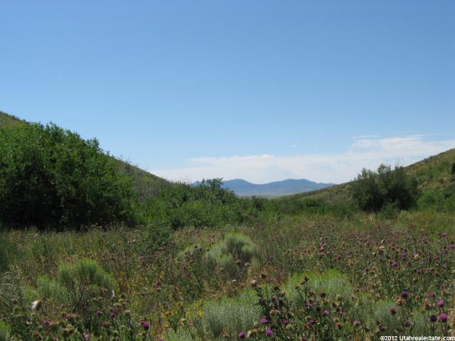 Bancroft, ID 83217 — photo 4