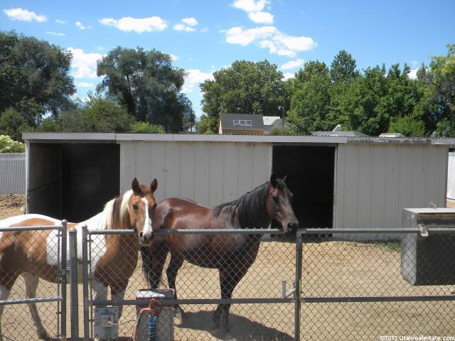 369 N 300 E, American Fork, UT 84003 — photo 7