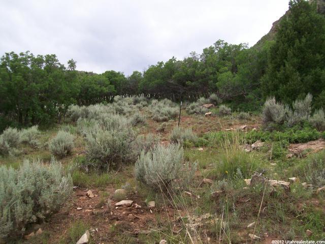 #11, Hanna, UT 84031 — photo 2