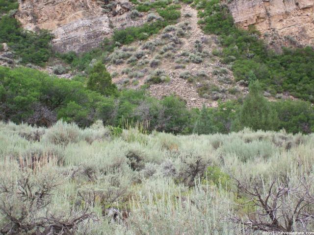 #12, Hanna, UT 84031 — photo 5
