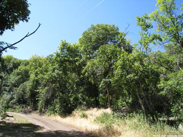 130 S Spring Ln #130, Midway, UT 84049 — photo 2