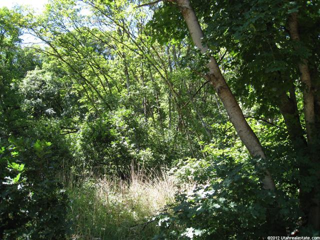 130 S Spring Ln #130, Midway, UT 84049 — photo 4