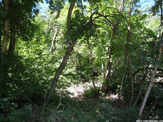 130 S Spring Ln #130, Midway, UT 84049 — photo 5