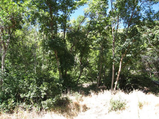 130 S Spring Ln #130, Midway, UT 84049 — photo 6