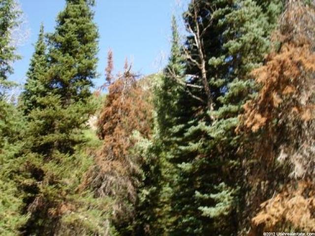 9400 E 5500 S #17, Solitude, UT 84121 — photo 4