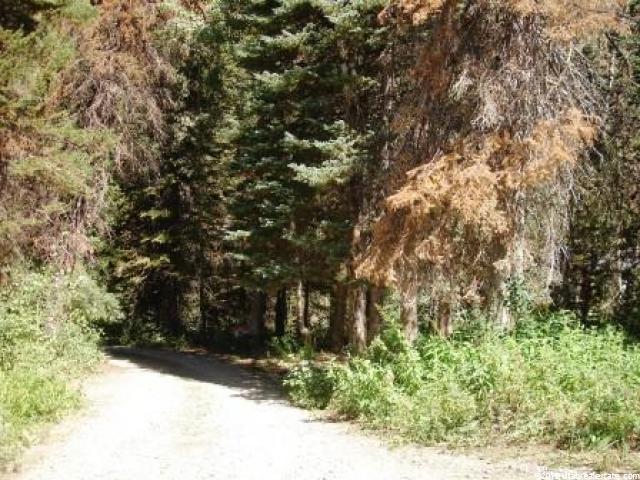 9400 E 5500 S #17, Solitude, UT 84121 — photo 5